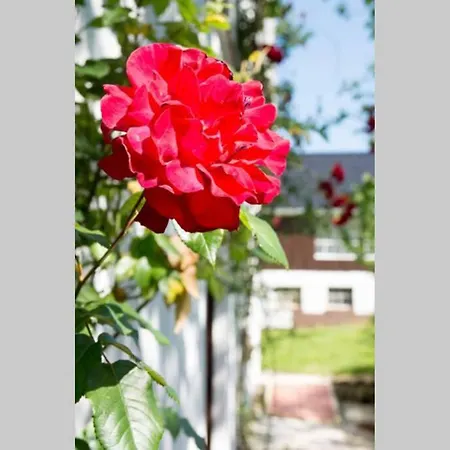 Apartamento Hoffmanns-hof-sinspert *