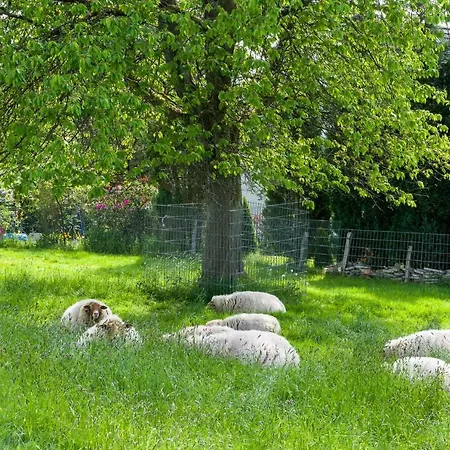 Hoffmanns-hof-sinspert