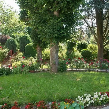 Hoffmanns-hof-sinspert Daire