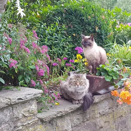 Hoffmanns-hof-sinspert