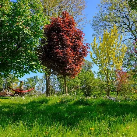 Hoffmanns-hof-sinspert Daire