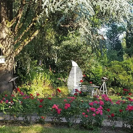 Hoffmanns-hof-sinspert