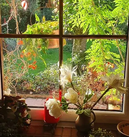 Hoffmanns-hof-sinspert *