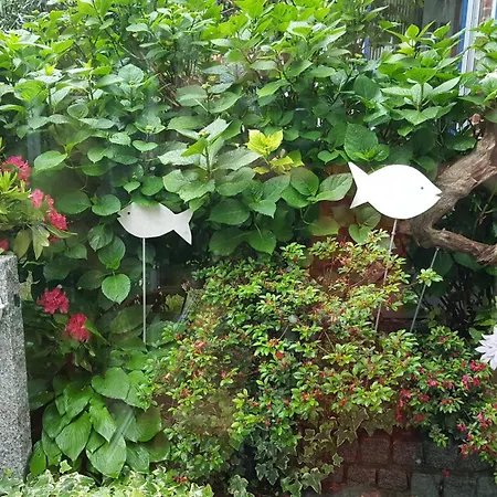 公寓 Hoffmanns-hof-sinspert