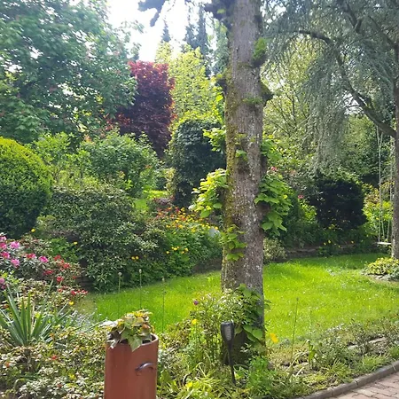 Hoffmanns-hof-sinspert *