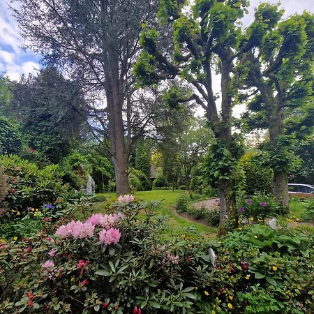 Daire Hoffmanns-hof-sinspert *