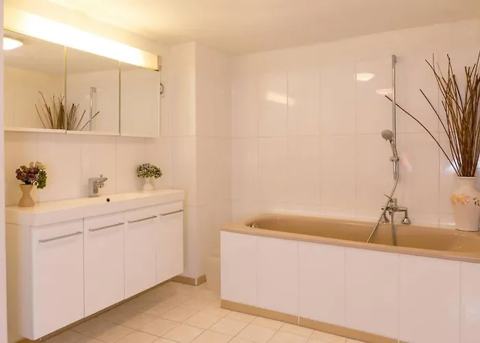 Hoffmanns-hof-sinspert 公寓 Reichshof