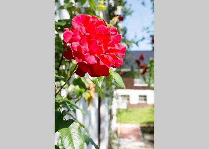 公寓 Hoffmanns-hof-sinspert *