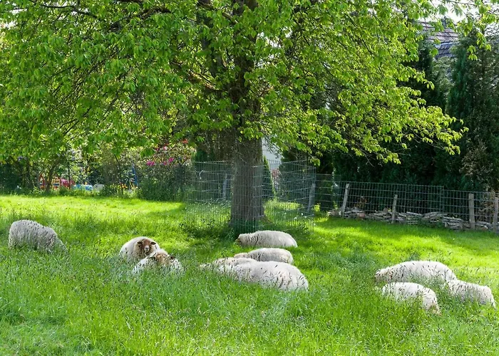 Hoffmanns-hof-sinspert