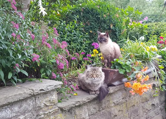 Hoffmanns-hof-sinspert