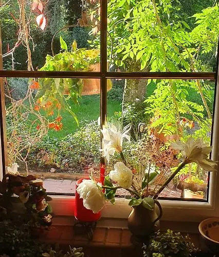 Hoffmanns-hof-sinspert *