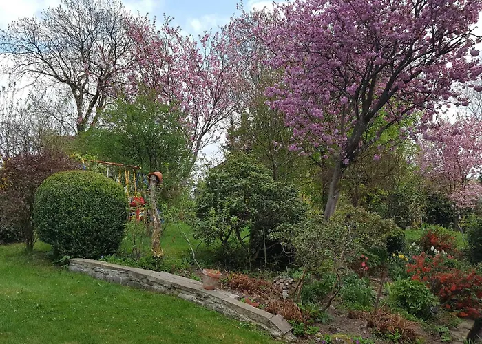 公寓 Hoffmanns-hof-sinspert