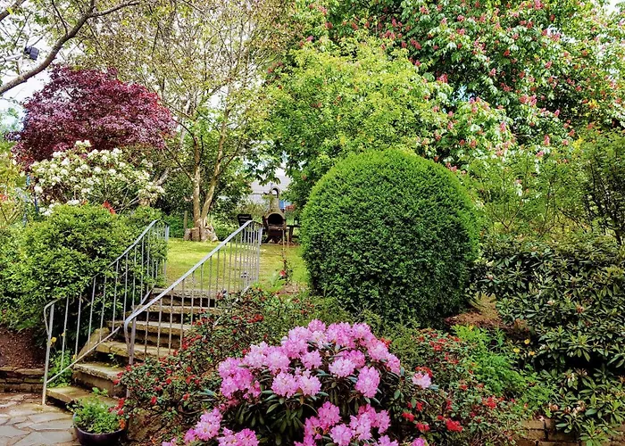 Hoffmanns-hof-sinspert Reichshof